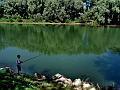 adda (82)